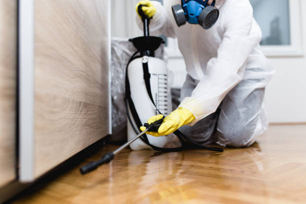 Best Local Pest Control Services  in Orange City, IA