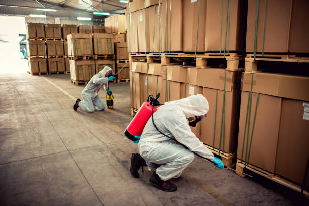 Trusted Orange City, IA Pest Control Experts