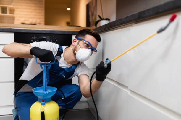 Best Local Pest Control Services  in Orange City, IA