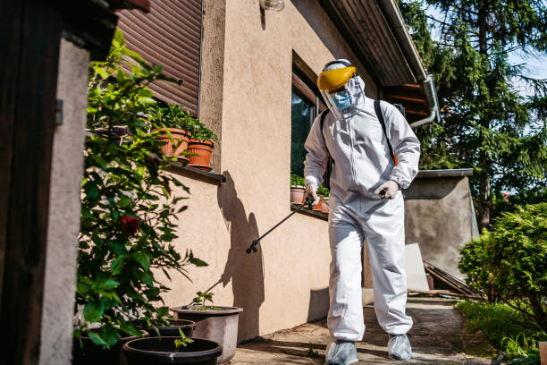 Best Pest Removal Services  in Orange City, IA