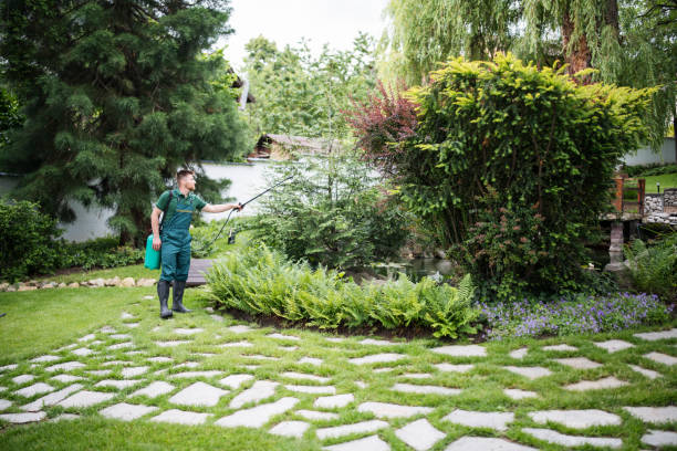 Best Best Pest Control Companies  in Orange City, IA