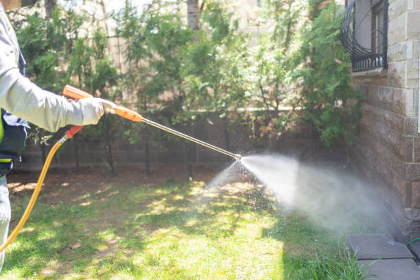 Best Mosquito Control Services  in Orange City, IA