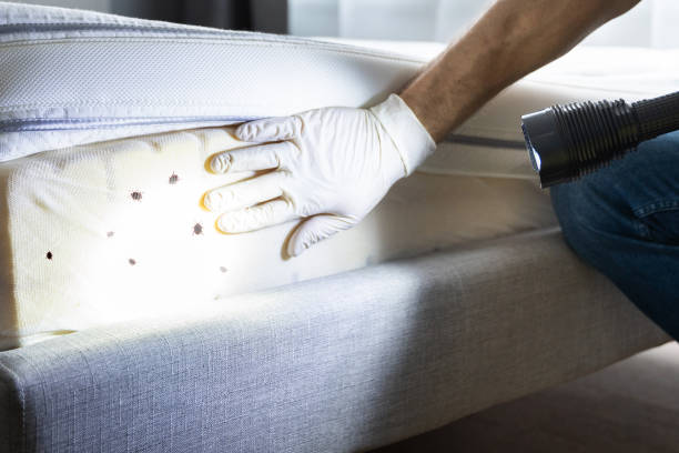 Best Bed Bug Extermination  in Orange City, IA