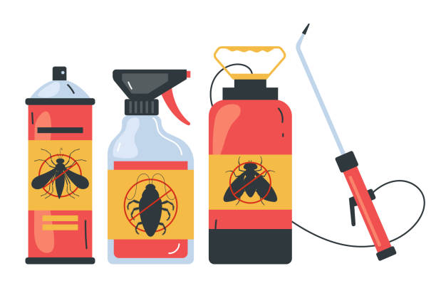 Best Spider Control Near Me  in Orange City, IA