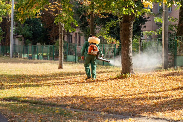 Best Emergency Pest Control  in Orange City, IA