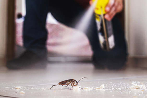 Reliable Orange City, IA Pest Control Solutions