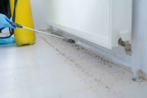 Best Pest Prevention Services  in Orange City, IA