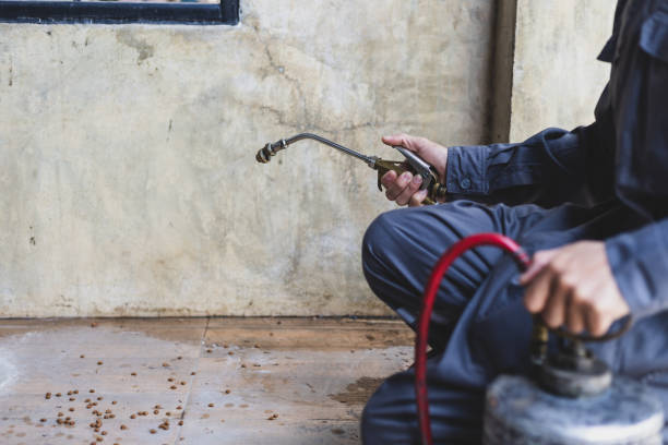 Best Rat Extermination Near Me  in Orange City, IA