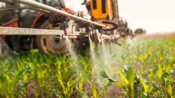 Best Insect Control  in Orange City, IA