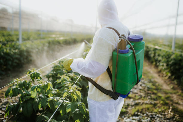 Best Pest Control Near Me  in Orange City, IA
